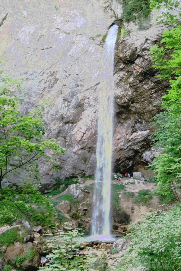 Seehaus Kaernten Saager 외부 사진